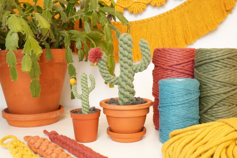 Kaktusy, Martyna Craft