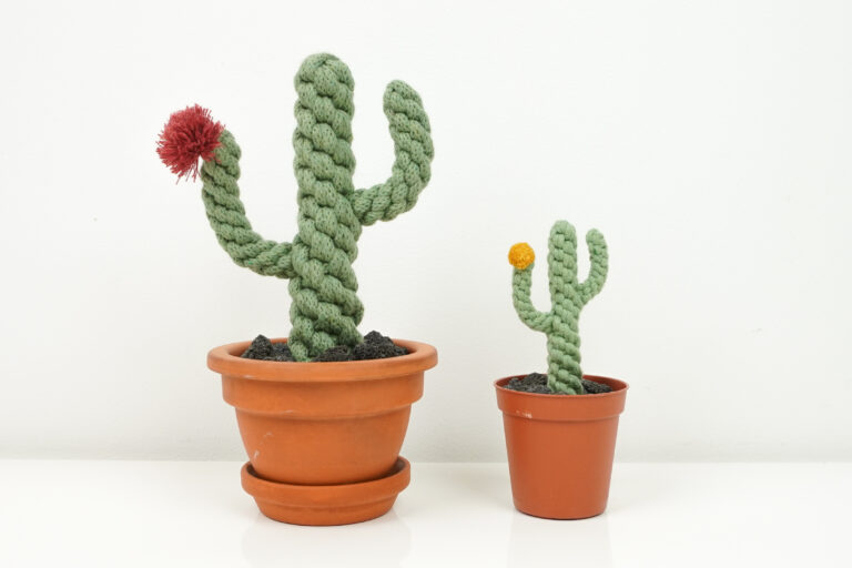 Kaktusy, Martyna Craft